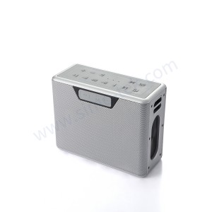 Customized Speaker